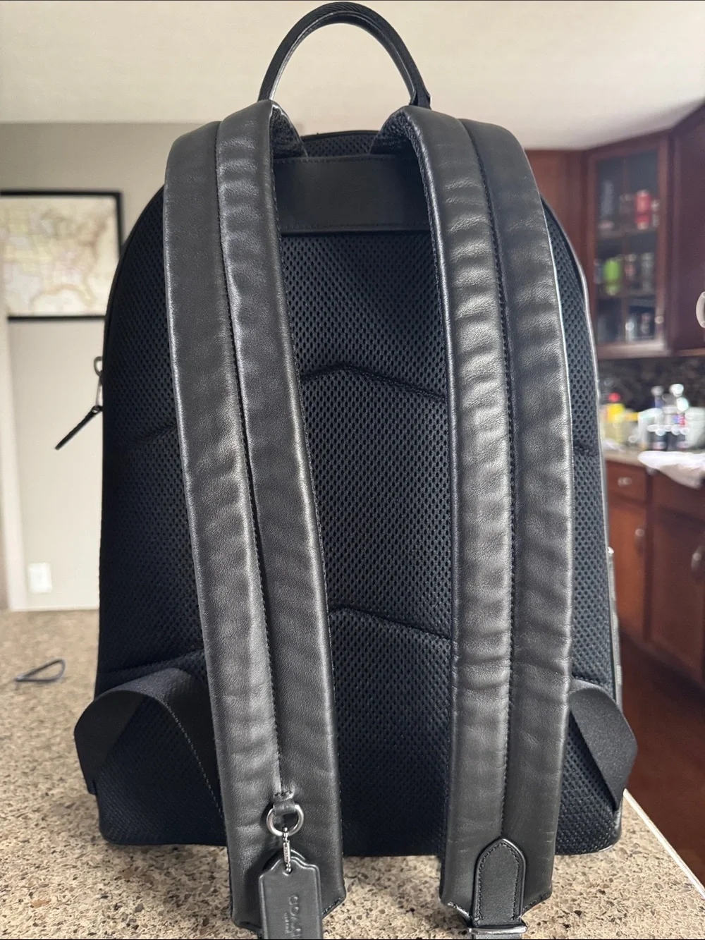 😎Coach Men's Signature Canvas Backpack in Gray !! EUC good condition 😎